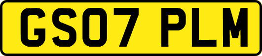 GS07PLM