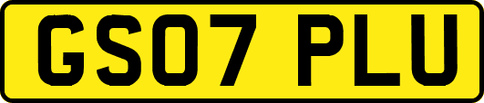 GS07PLU