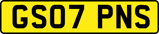 GS07PNS