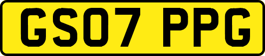 GS07PPG