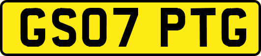 GS07PTG
