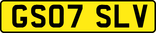 GS07SLV