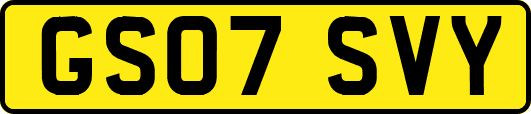 GS07SVY