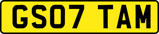 GS07TAM
