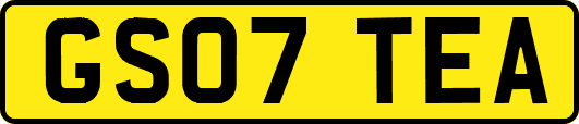 GS07TEA