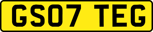 GS07TEG