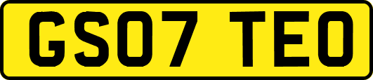 GS07TEO