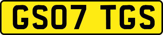 GS07TGS