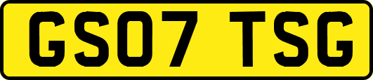 GS07TSG