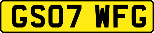 GS07WFG