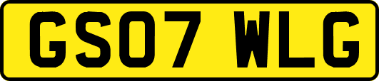 GS07WLG