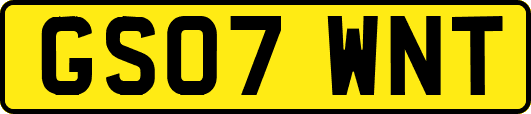GS07WNT