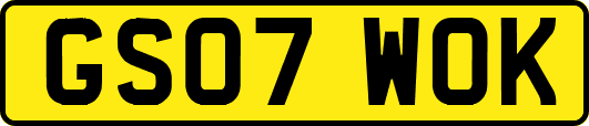 GS07WOK
