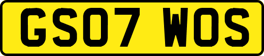 GS07WOS