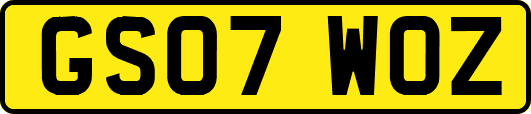 GS07WOZ