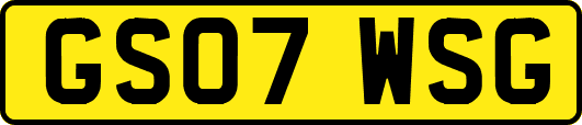 GS07WSG