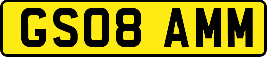 GS08AMM