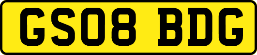 GS08BDG