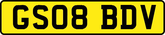 GS08BDV