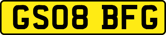 GS08BFG