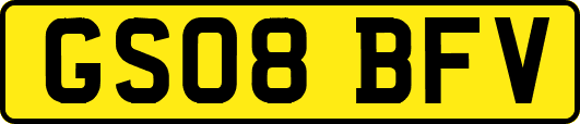 GS08BFV