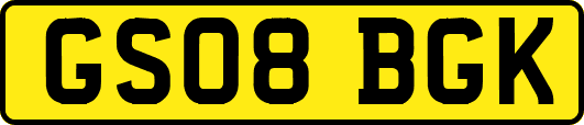 GS08BGK