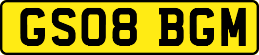 GS08BGM