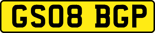 GS08BGP