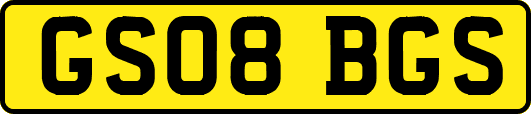 GS08BGS