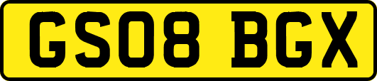 GS08BGX