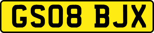 GS08BJX