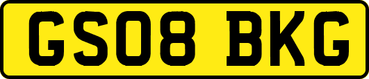 GS08BKG