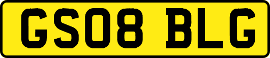 GS08BLG