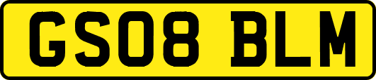 GS08BLM