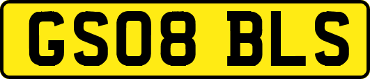 GS08BLS