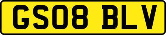 GS08BLV