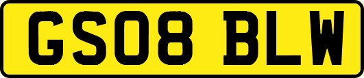 GS08BLW