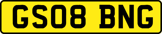 GS08BNG