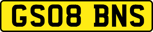 GS08BNS
