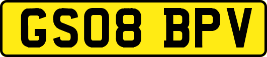 GS08BPV