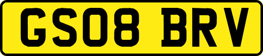 GS08BRV