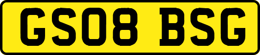GS08BSG
