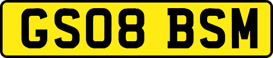 GS08BSM