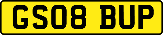 GS08BUP