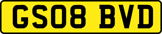 GS08BVD