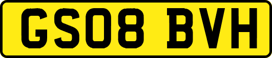 GS08BVH