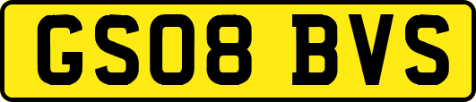GS08BVS