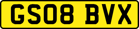 GS08BVX