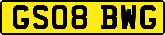 GS08BWG
