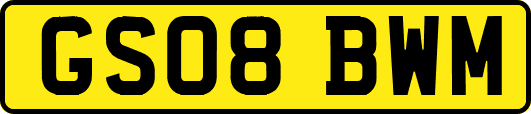 GS08BWM